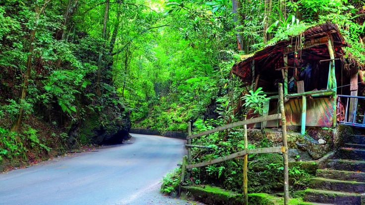 Fern Gully Ocho Rios 2